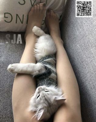 异国女人在巴黎免费观看完整版