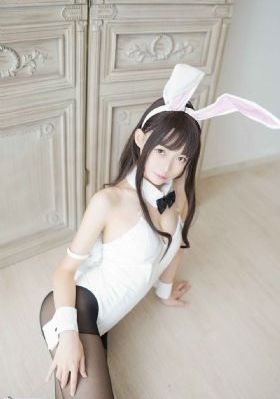 一级理论片