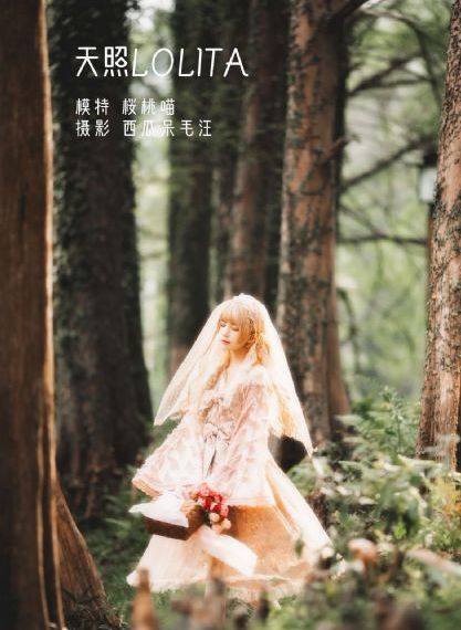 《美丽人生》电影在线观看