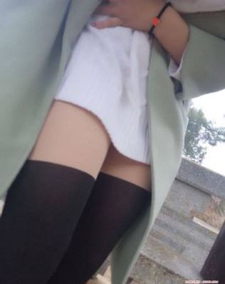 五哈第4季免费观看高清
