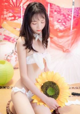 绿野仙踪林company limited19